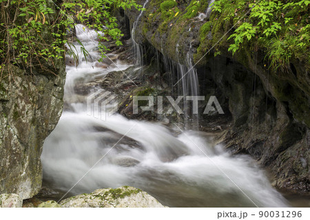 新緑と渓流 新緑と渓流 90031296