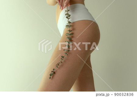Cropped image of slim female body, buttocks in underwear with plant twig isolated over grey studio background. Smooth skin 90032836