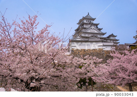 桜満開の姫路城　兵庫県姫路市 90033043