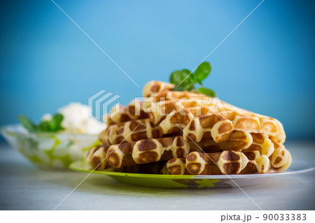 Sweet cottage cheese wafers with a sprig of mint in a plate 90033383