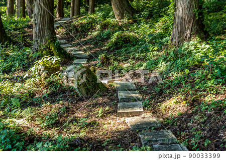 神社裏の遊歩道 神社裏の遊歩道 90033399