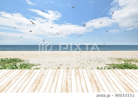 カモメが舞うきれいな砂浜、夏のビーチリゾート カモメが舞うきれいな砂浜、夏のビーチリゾート 90033551