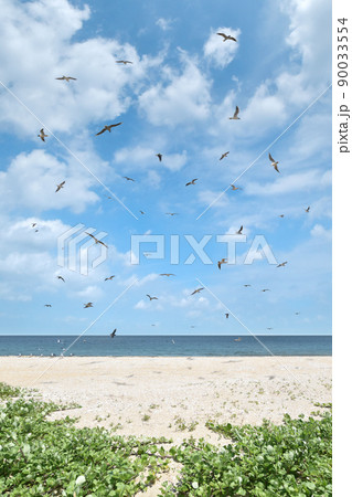 カモメが舞う無人の砂浜、夏のビーチリゾート カモメが舞う無人の砂浜、夏のビーチリゾート 90033554