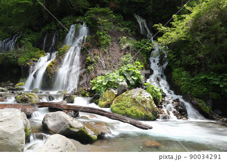 吐竜の滝 吐竜の滝 90034291