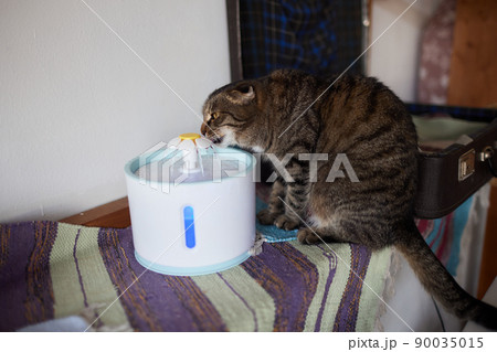Pet water dispenser with automatic gravity refill. 90035015
