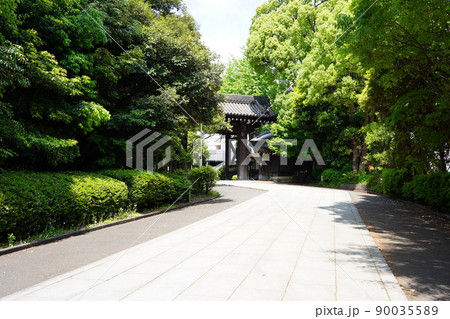 曹洞宗 大本山 總持寺 参道 ~横浜市鶴見区~ 曹洞宗 大本山 總持寺 参道 ~横浜市鶴見区~ 90035589