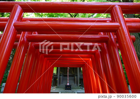 曹洞宗 大本山 總持寺 穴熊稲荷 ～横浜市鶴見区～ 90035600