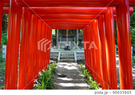 曹洞宗 大本山 總持寺 穴熊稲荷 ~横浜市鶴見区~ 曹洞宗 大本山 總持寺 穴熊稲荷 ~横浜市鶴見区~ 90035605