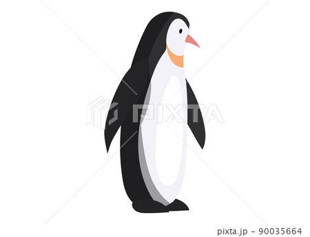 King penguin swims and dives well eats fish. Large black and white marine bird isolated on white 90035664
