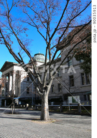 国の重要文化財 大阪府立中之島図書館 南西から 国の重要文化財 大阪府立中之島図書館 南西から 90035913