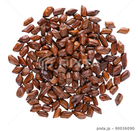 Cassia tora beans isolated on white background. Sicklepod or Senna obtusifolia. Clipping path. Top view. 90036090
