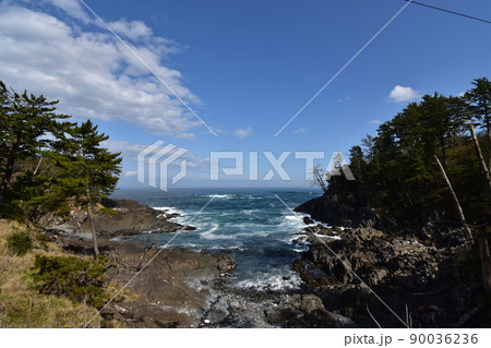 南三陸　気仙沼　神割崎　さんさん商店街　ホテル観洋　ウミネコ　海猫　海　三陸　津波　防波堤　復興　 90036236