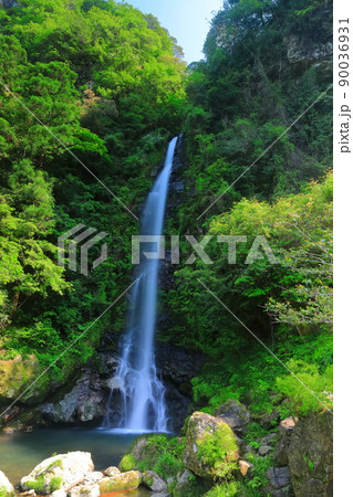 【高知県】新緑の大樽の滝（仁淀川） 90036931