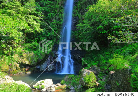 【高知県】新緑の大樽の滝（仁淀川） 90036940