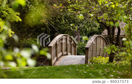 Scenic Path and Wooden Bridge in a park with green trees Scenic Path and Wooden Bridge in a park with green trees 90037373