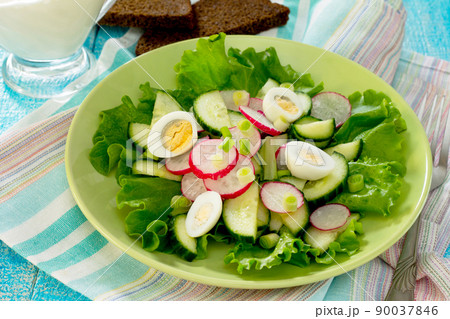 Fresh vegetable salad with sour cream, radish, cucumber and lettuce. 90037846