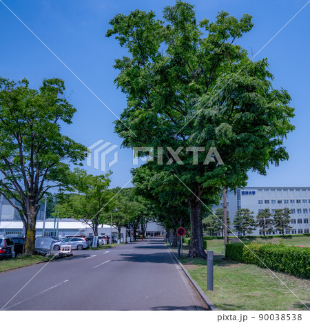 東洋大学川越キャンパス　理工学部　新緑に覆われ、都内からも近い 90038538