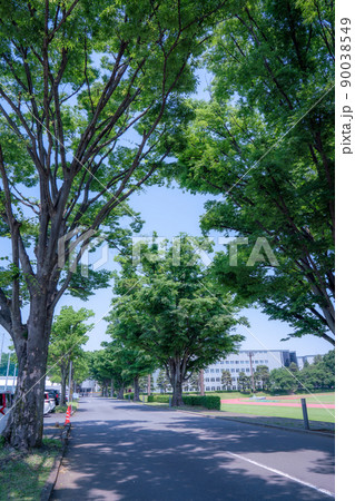 東洋大学川越キャンパス　理工学部　新緑に覆われ、都内からも近い 90038549