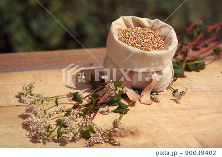 Buckwheat - bag with grains, ears of grain Buckwheat - bag with grains, ears of grain 90039402