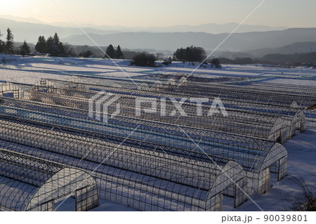 冬の時期のビニールハウス風景（長野県 茅野市） 90039801
