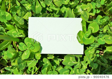 5つ葉と6つ葉を飾ったコメントスペースのモックアップ 90040476