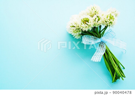 青背景にシロツメクサの花を青いリボンでまとめたミニブーケ 90040478