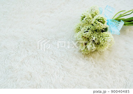 白いふわふわの布の背景にクローバーの花を青いリボンでまとめたミニブーケ 90040485