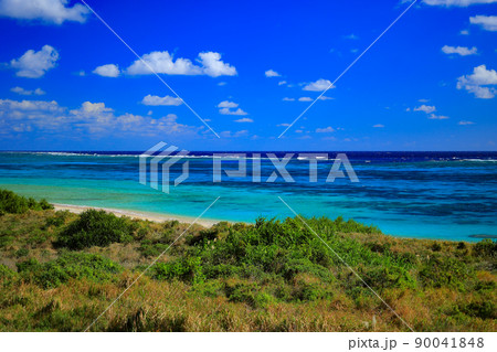石垣島 平久保半島エコロード 石垣島 平久保半島エコロード 90041848