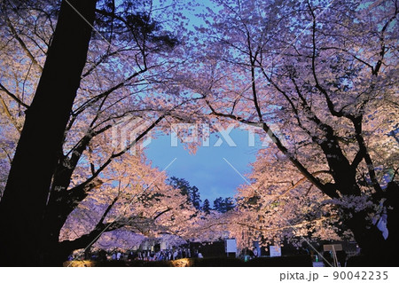 弘前公園のハートの桜（青森県弘前市） 90042235