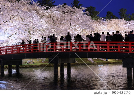 満開の桜と春陽橋(青森県弘前市) 満開の桜と春陽橋(青森県弘前市) 90042276