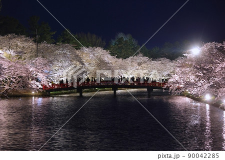 満開のライトアップされた桜と春陽橋（弘前さくらまつり） 90042285