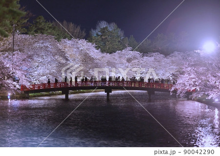 満開のライトアップされた桜と春陽橋(弘前さくらまつり) 満開のライトアップされた桜と春陽橋(弘前さくらまつり) 90042290
