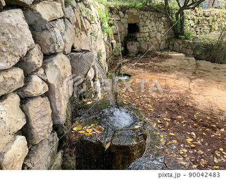 Springs in the El Hemed National Park 90042483