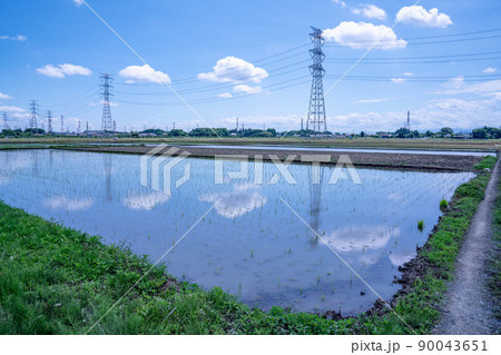埼玉県坂戸市の田園風景と鉄塔 農業、稲作風景 埼玉県坂戸市の田園風景と鉄塔 農業、稲作風景 90043651