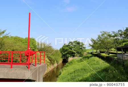 新緑がきれいな穏やかな日　遊水地近く　生井公園 90043755