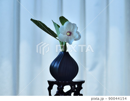 大山蓮華 大山蓮華 90044154