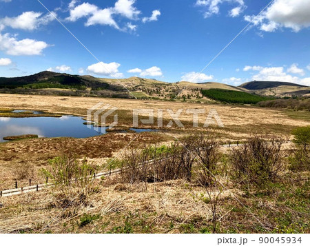 八島ケ湿原の風景　霧ヶ峰高原の風景　高原の春　大自然 90045934