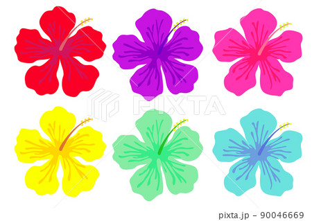 カラフルなハイビスカス 90046669