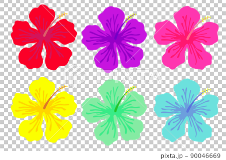 カラフルなハイビスカス 90046669
