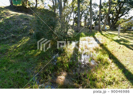 久留里城　お玉が池 90046986