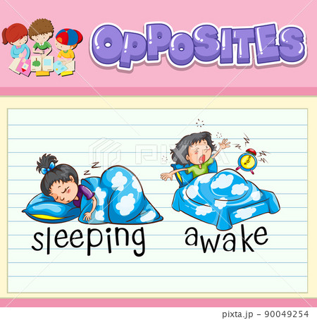Education word card of English opposites word Education word card of English opposites word 90049254