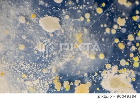 Backgrounds of Characteristics and Different shaped Colony of Bacteria and Mold growing on agar plates from Soil samples for education in Microbiology laboratory. Backgrounds of Characteristics and Different shaped Colony of Bacteria and Mold growing on agar plates from Soil samples for education in Microbiology laboratory. 90049384