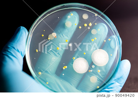 Backgrounds of Characteristics and Different shaped Colony of Bacteria and Mold growing on agar plates from Soil samples for education in Microbiology laboratory. 90049420