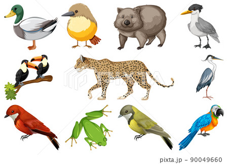 Different Kinds Of Animals Collectionのイラスト素材