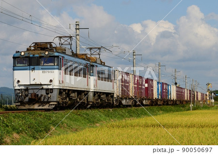 実りの稲とED79 50重連が牽引するコンテナ列車　津軽線　津軽宮田～油川 90050697