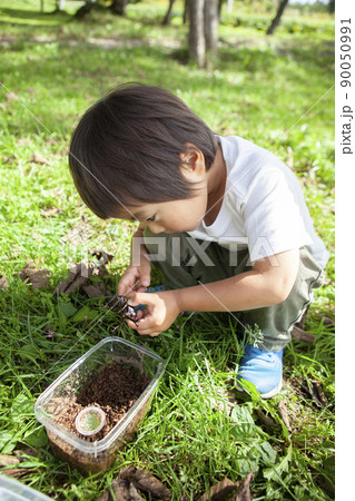 昆虫採集する子ども 昆虫採集する子ども 90050991