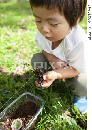 昆虫採集する子ども 90050995
