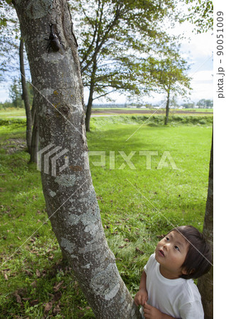昆虫採集する子ども 昆虫採集する子ども 90051009