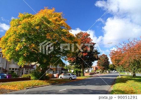 イギリス　ビートルズで有名な都市リヴァプール　郊外の街並み 90051291