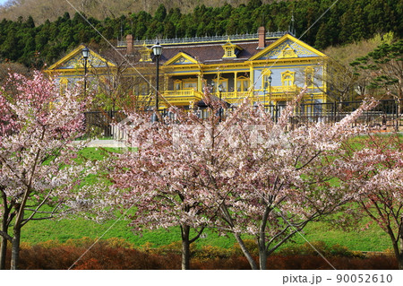 函館　ペリー広場から見た旧函館区公会堂と桜並木 90052610